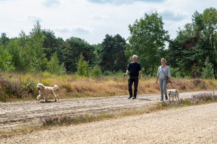 drukte verwacht in de natuur