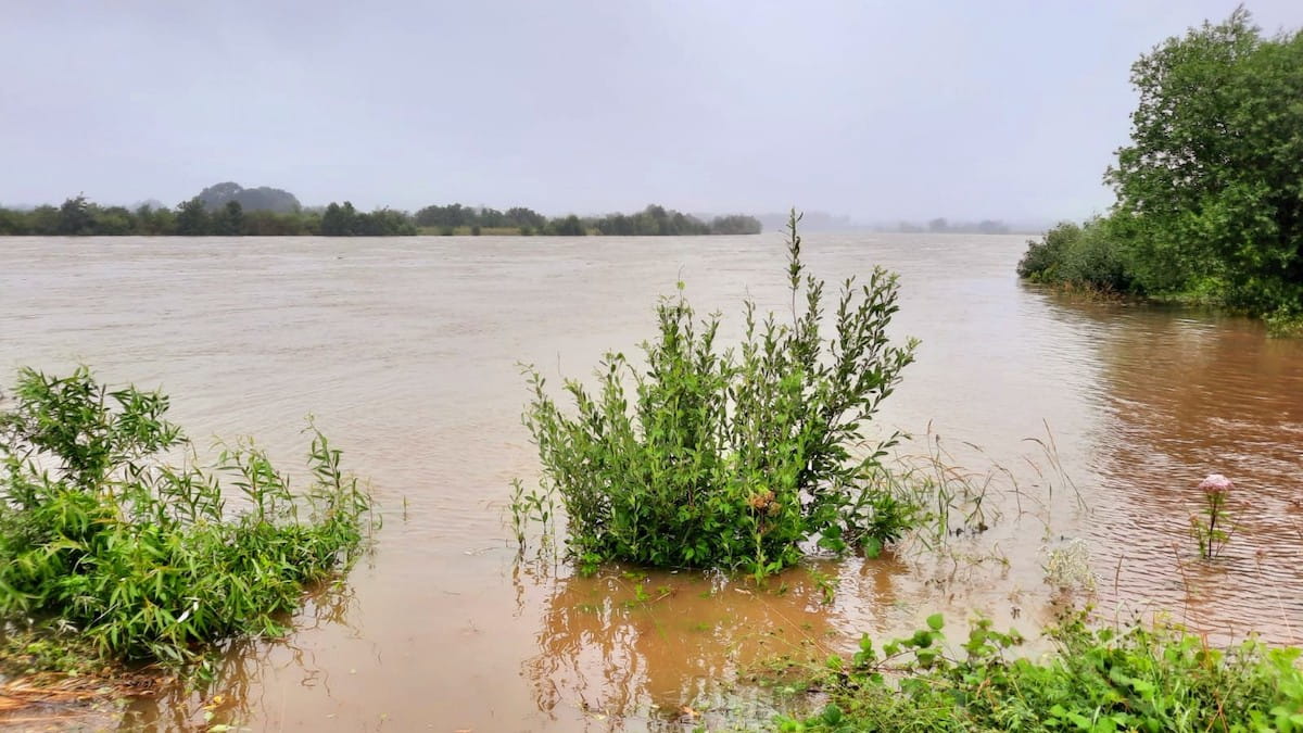 hoog water in limburg