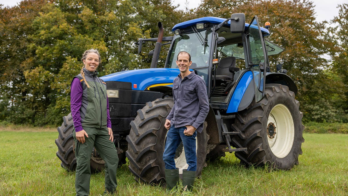 3 jonge wolven