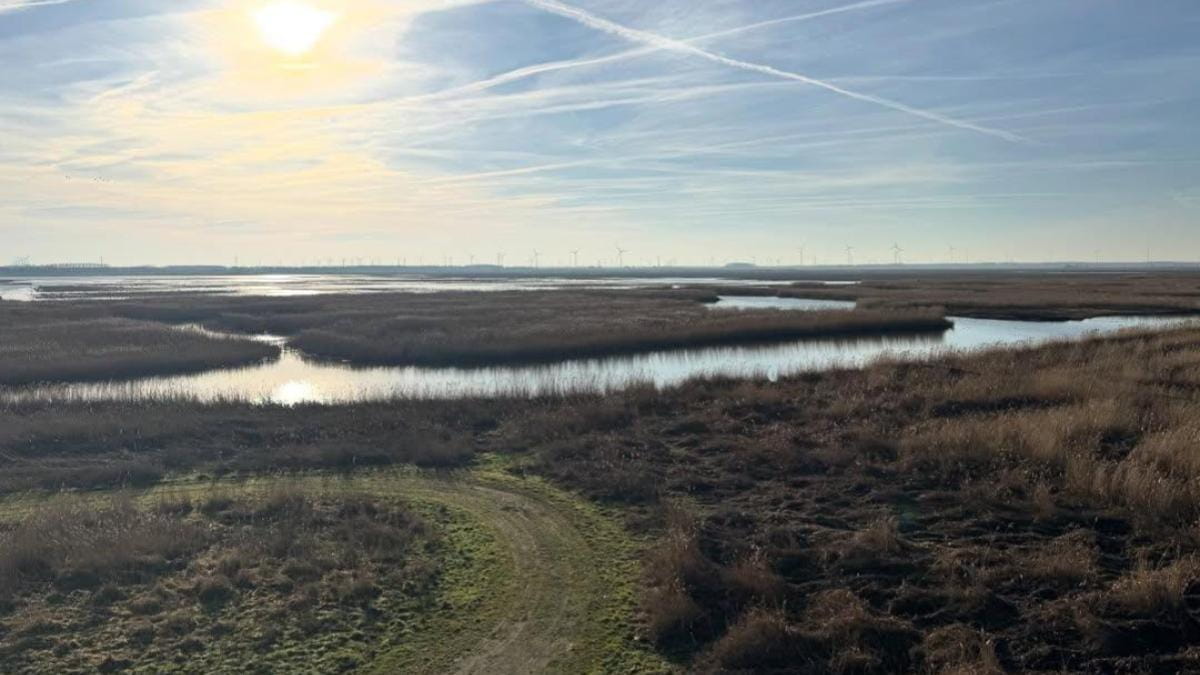 Een vliegende start van het soortenjaar 2026