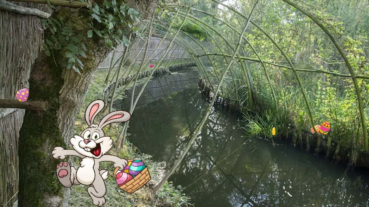 Eendenkooi Waardenburg met paashaas