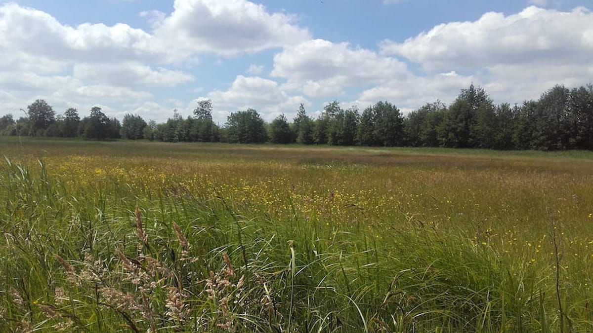 natuurgebied De Hel