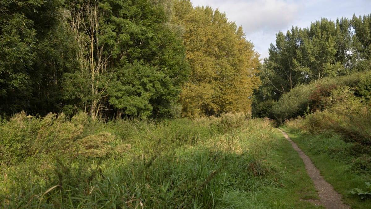 Voorbereidingen boswerkzaamheden Vlaardingen en Maassluis gestart