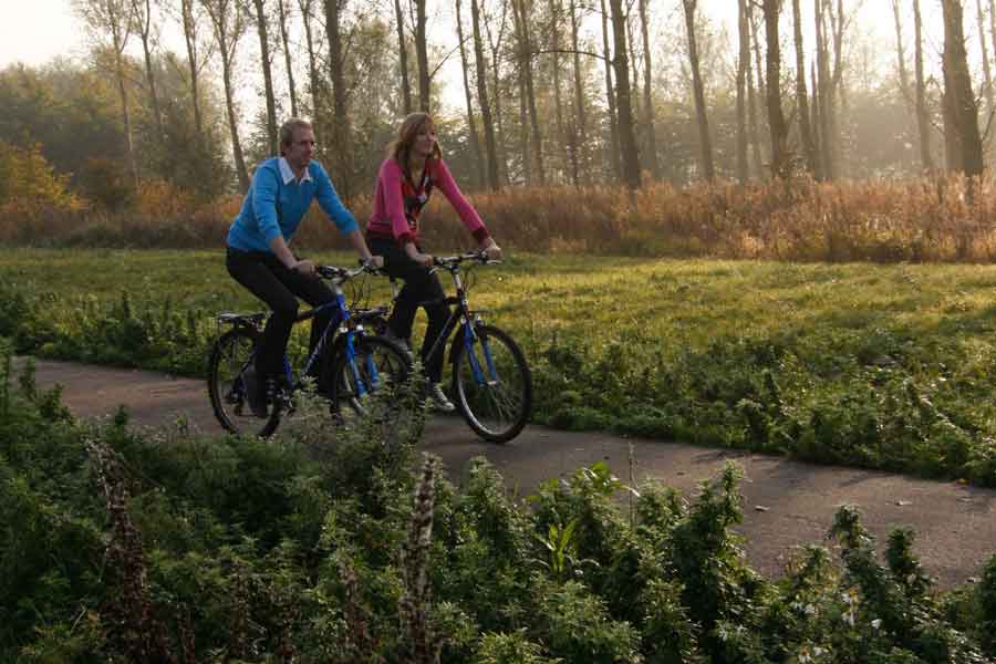Fietsen in het Bieslandse Bos tussen Delft en Zoetermeer