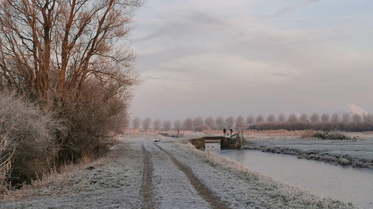 Balij in de winter