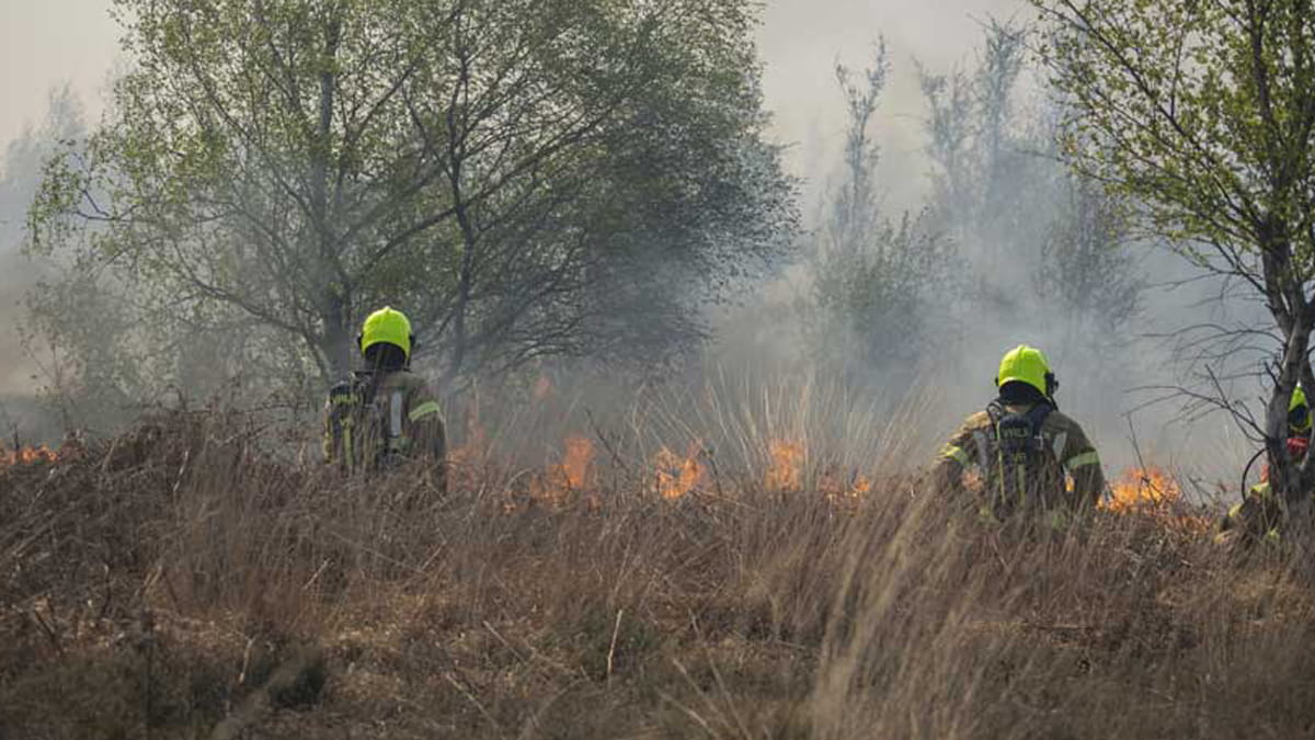 brandweer blust natuurbrand