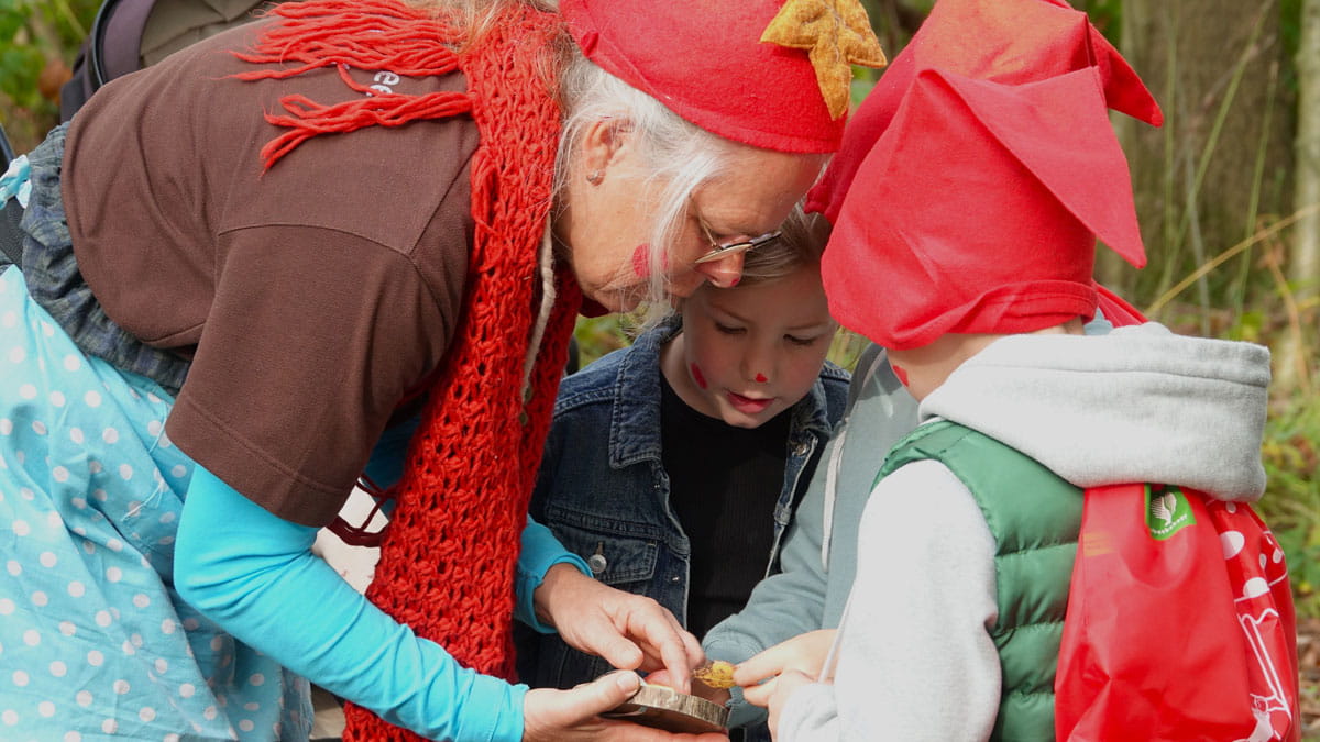 kabouterfeest pelen