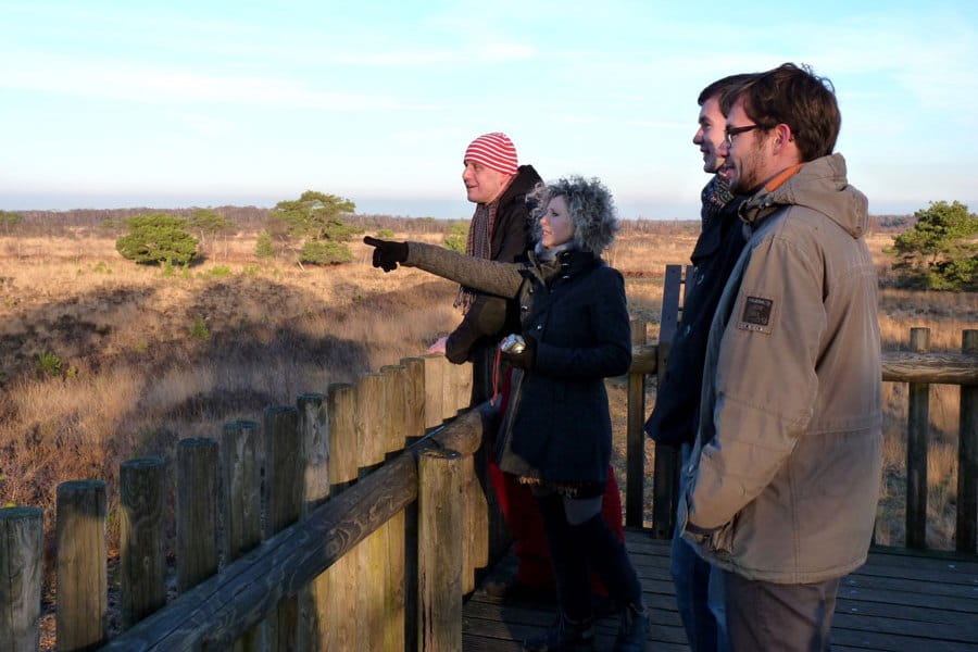 Uitkijkpunt in natuurgebied De Pelen
