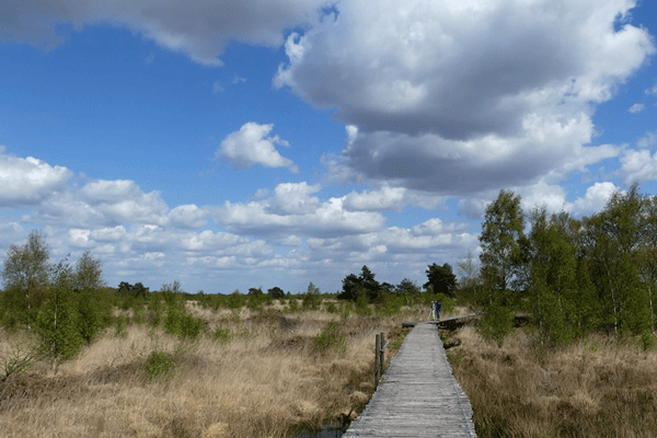 Vlonderpad door veenlandschap