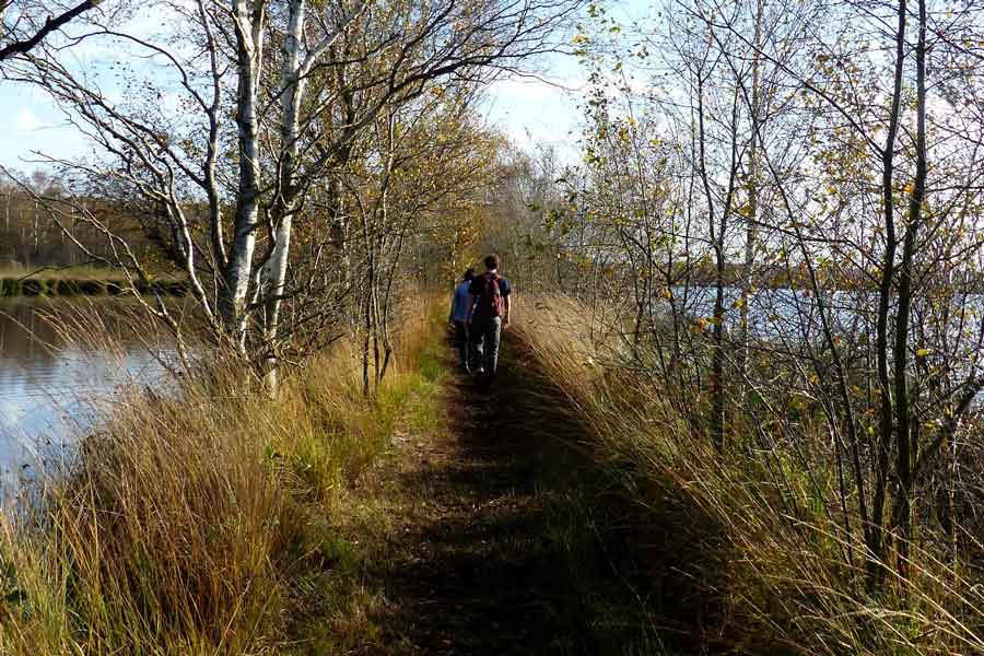 wandelen in De Groote Peel