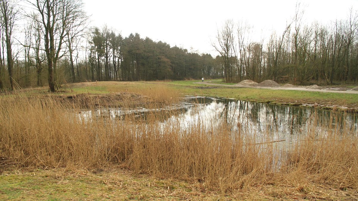 Water in het Swifterbos