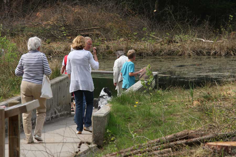 Wandelen op familiepad in natuurgebied het Drents-Friese Wold