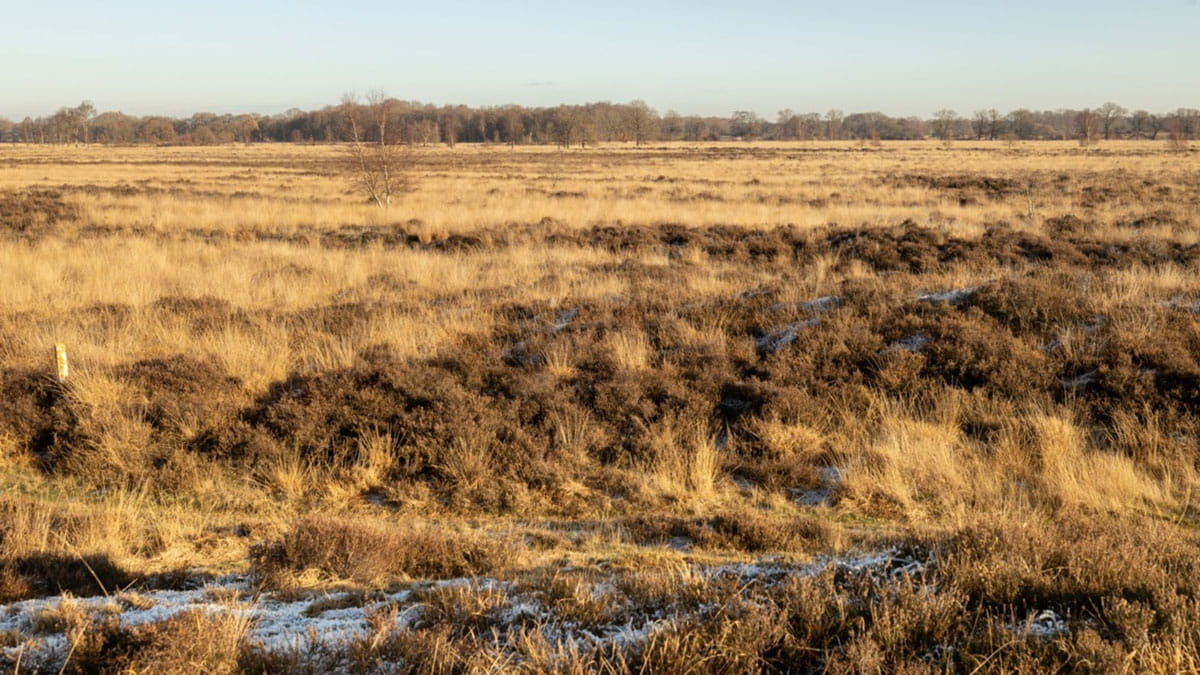 Wandelroute Ballooërveld - Drentsche Aa