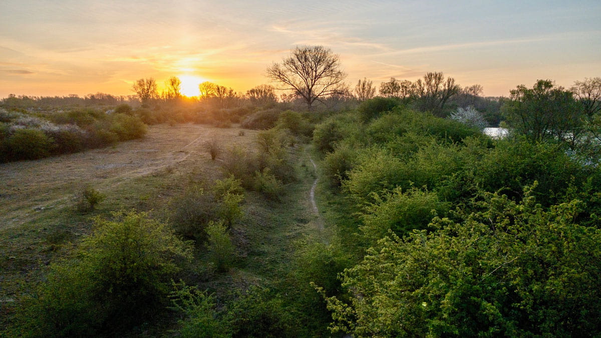 zonsopkomst in de ooijpolder