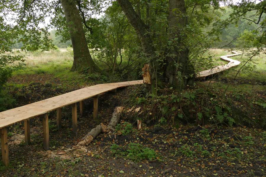 routen Wolvenspoor in Hart van Drenthe