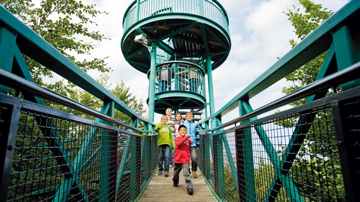 kinderen op Boomkroonpad, Hondsrug