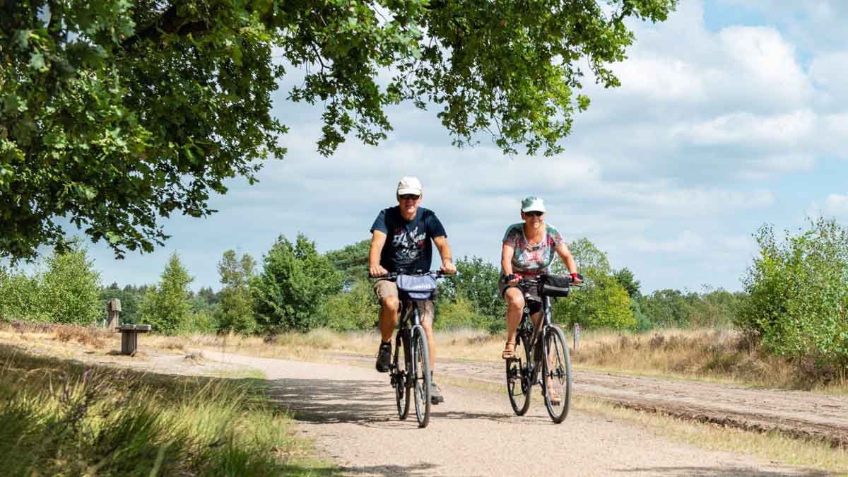 fietsers in Hondsrug