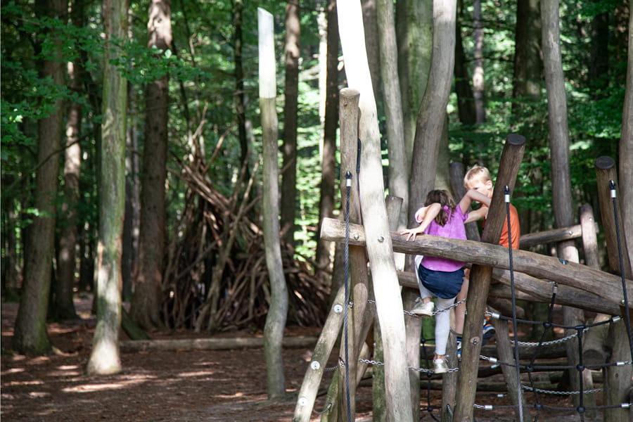 Kinderen in speelbos Lorken op de Hondsrug