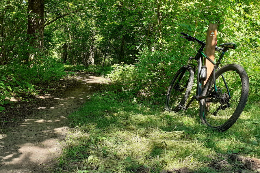 Mountainbike route in Horsterwold