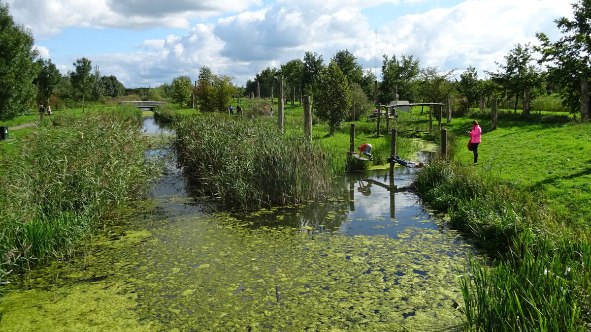 Speelbos Nieuw Wulven