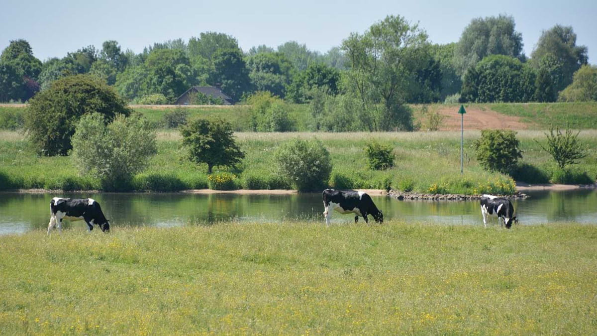 Herinrichting Schalkwijker Buitenwaard