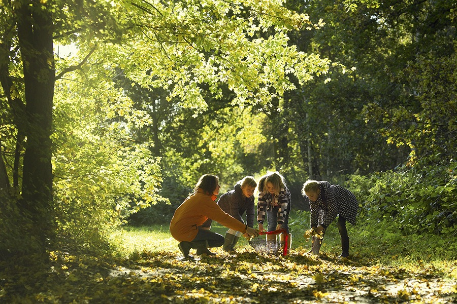 gezin speelt met bladeren in bos