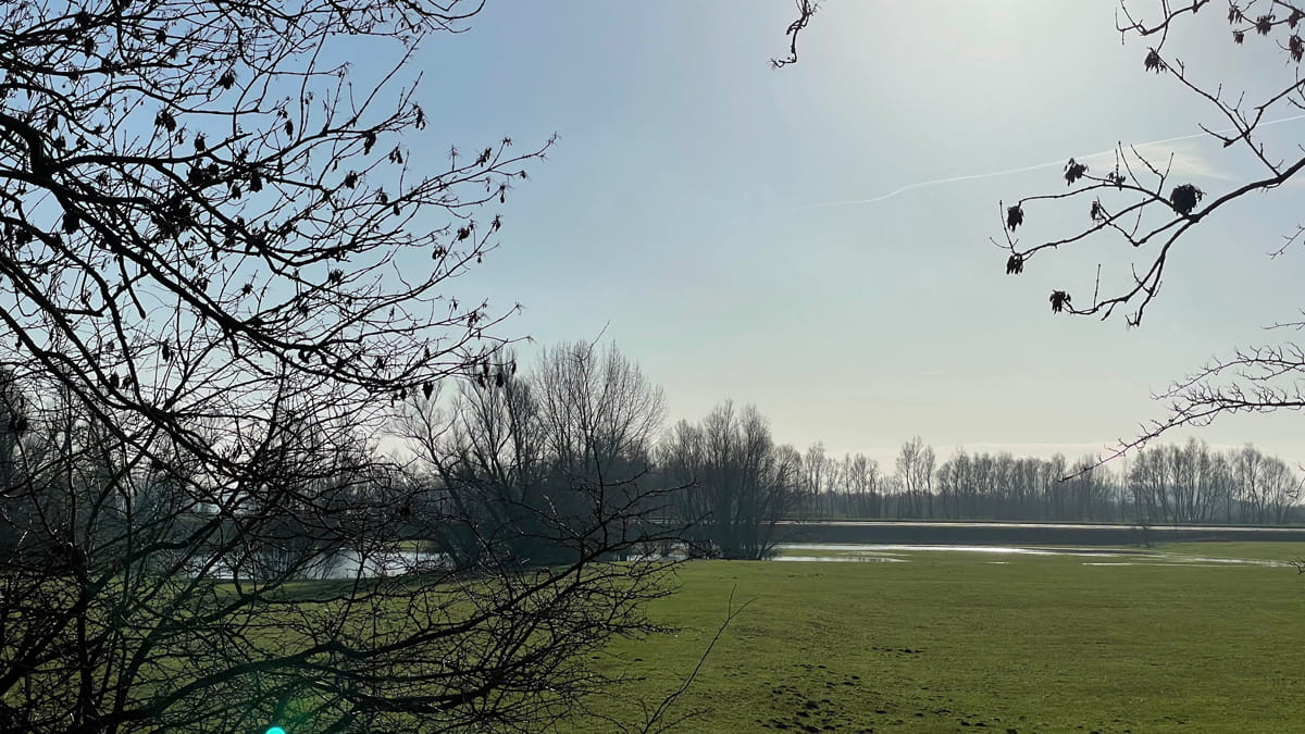 Landschap in de Dreumelse Overlaat