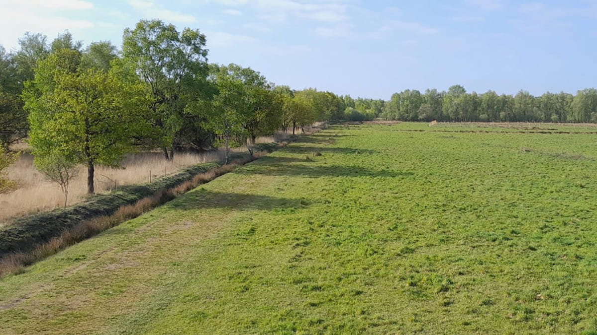 natuurgebied patersgronden