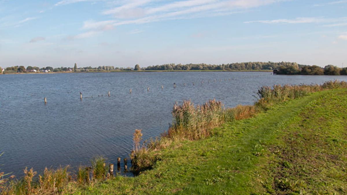 Vogelplas Starrevaart