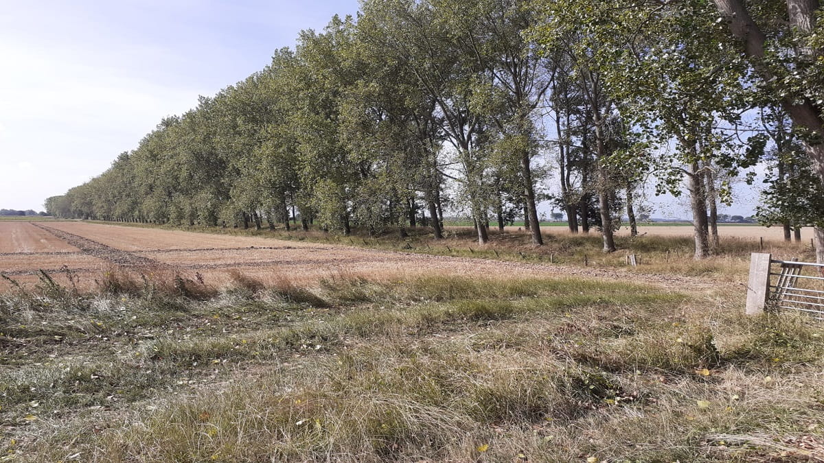 Dijk in Noord-Beveland