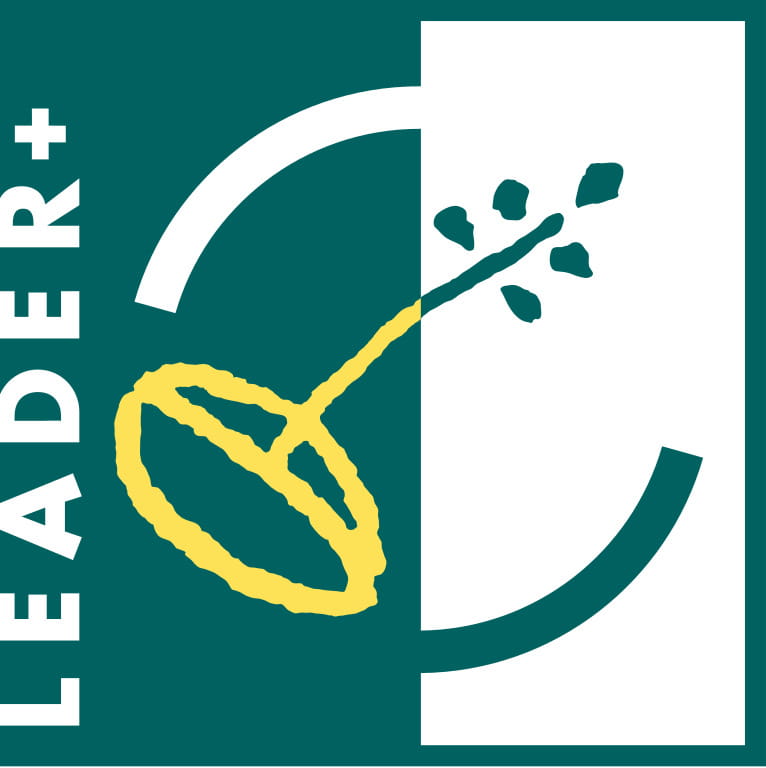 logo leader plus