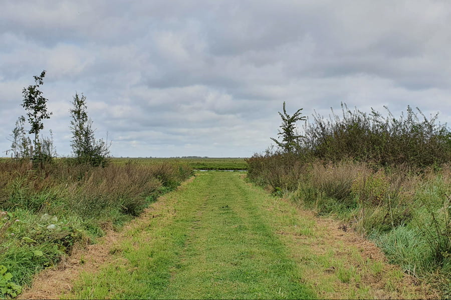 De Nootroute - Oostvaardersplassen