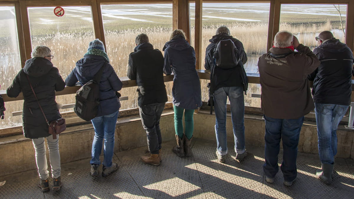 Vogelkijkhut Zeearend in Oostvaardersplassen