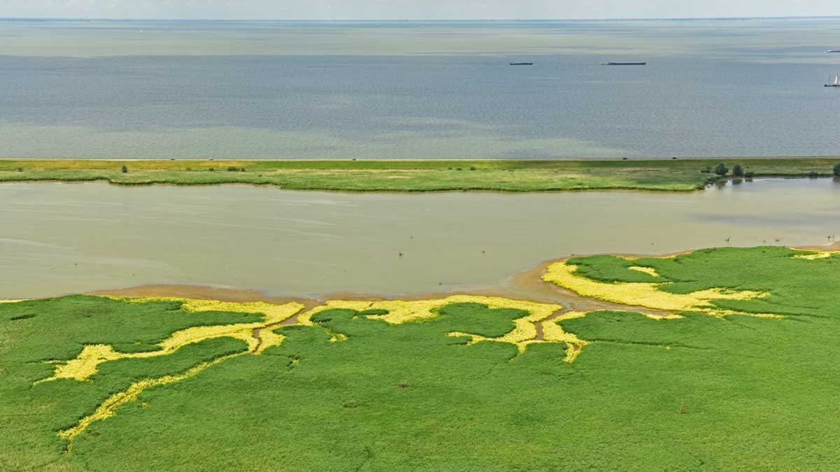 Luchtfoto Oostvaardersplassen