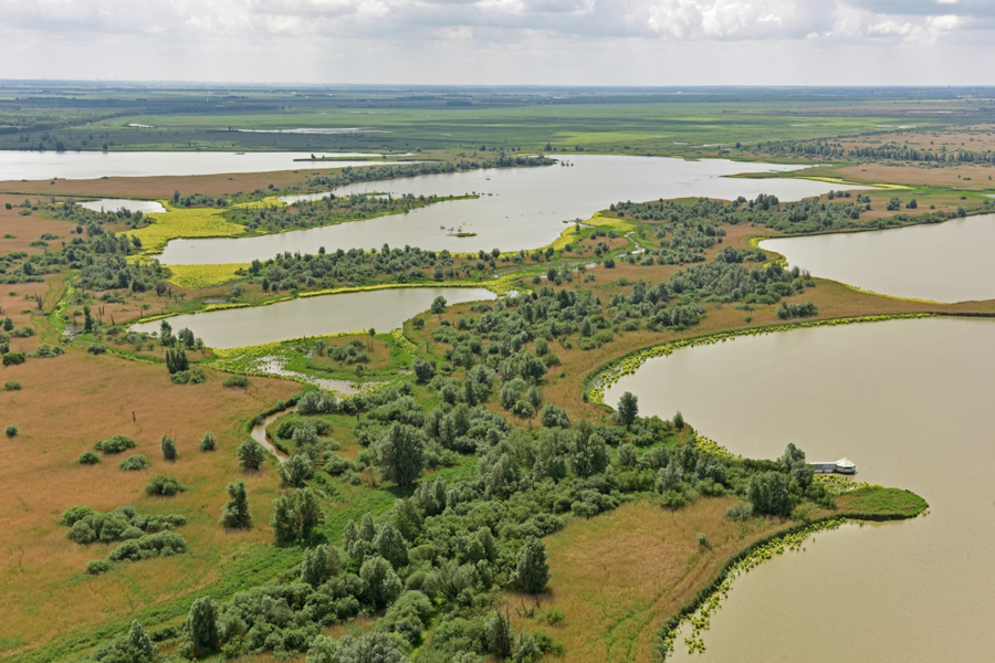 Luchtfoto van de Oostvaardersplassen