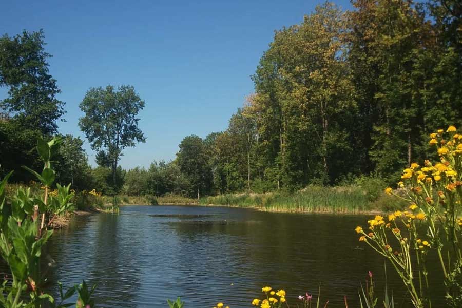 slenk in de Oostvaardersplassen