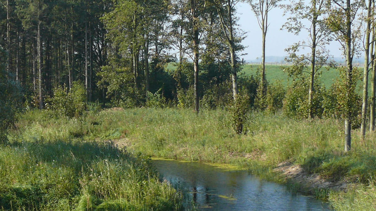 De waterhuishouding van het Roggebotzand wordt hersteld