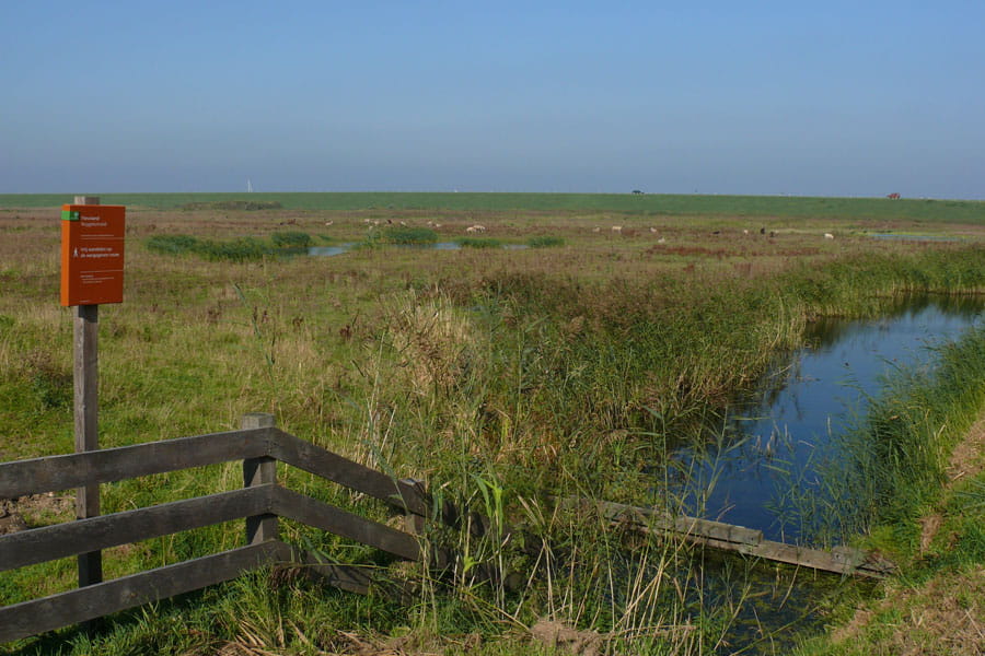landschap met beek en bordje van Staatsbosbeheer