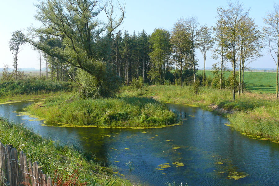 kronkelende kwelwaterbeek Roggebotveld