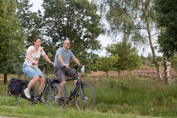 Fietser langs bosrand heide