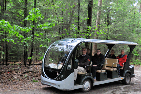 Electrokar met passagiers in het bos