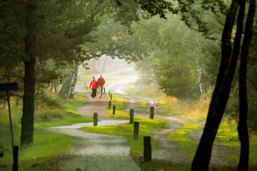 mensen wandelen op een pad in de sallandse heuvelrug