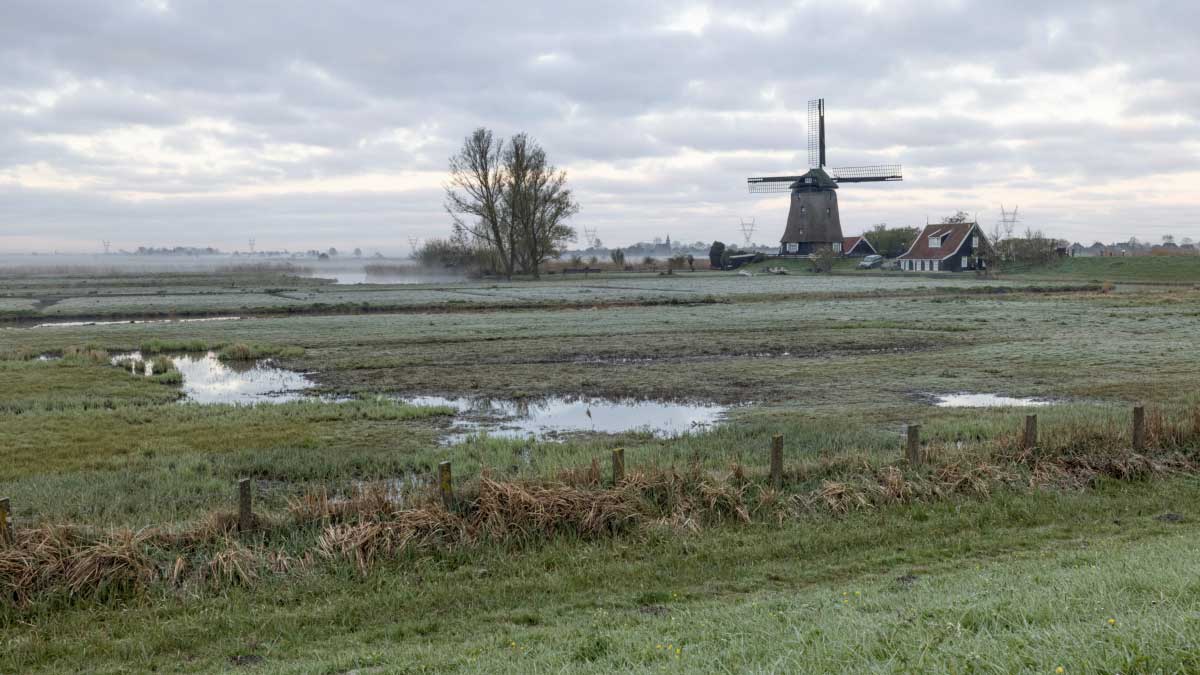 eilandspolder in Schermereiland