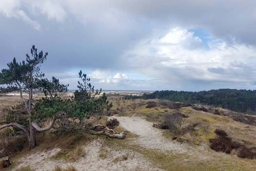 Uitzicht vanaf zwarte blink