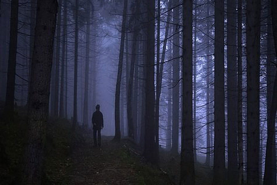 Spel strikken en stropen in Buitencentrum Schoorlse Duinen Spel strikken en stropen in Buitencentrum Schoorlse Duinen