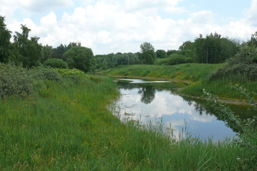 bos en weide landschap spijk-bremerberg