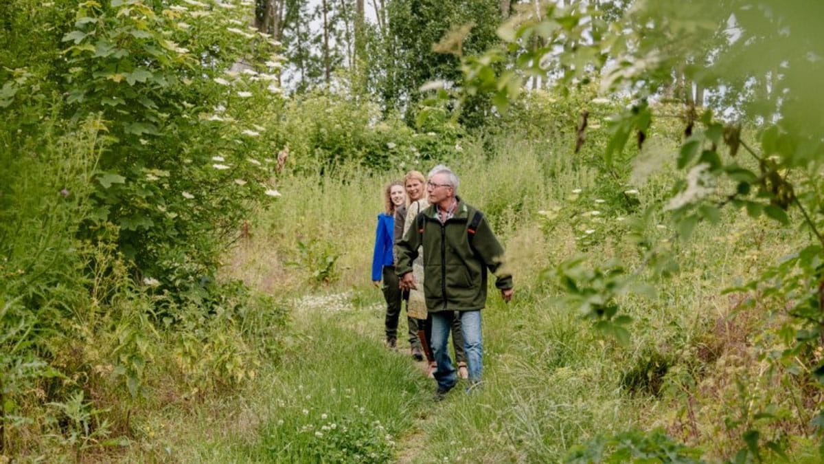 almeerderhout almeerderhout