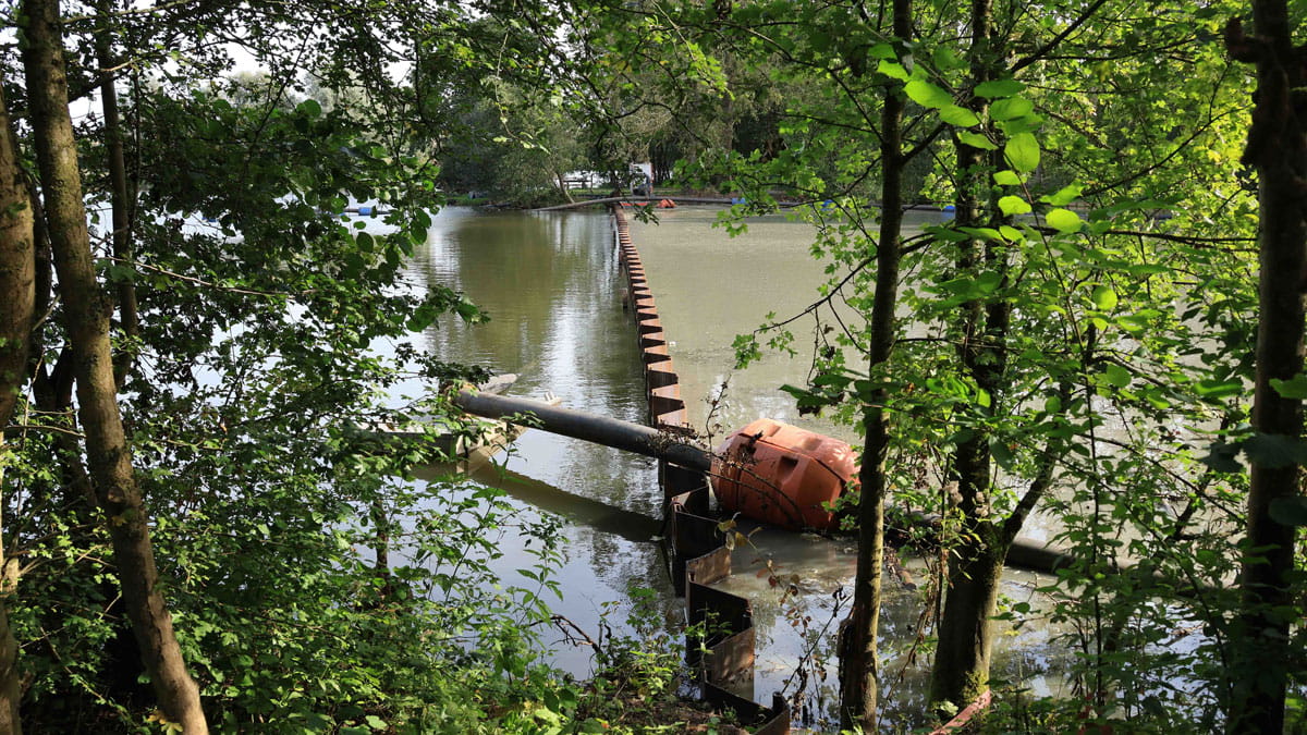 Damwand in het Zuigerplasbos