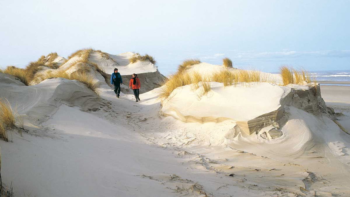 wandelaars in duinen
