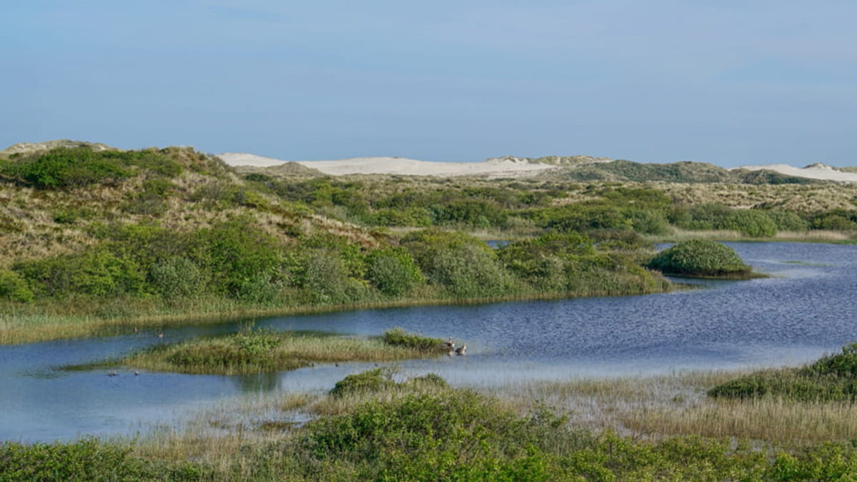 water op Terschelling